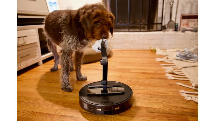 None I tested a robot vacuum with an arm, and my dog may never forgive me