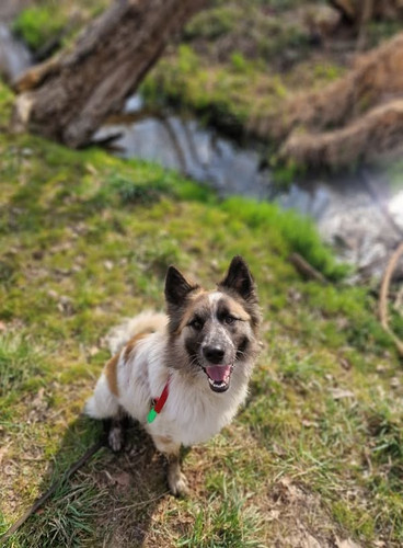 GnTJcx WQAAdhdW?format=jpg.jpg