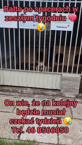 mbyO9E8j3LH z 9G.jpg