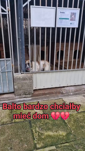 RBo3 gUOEnNa3TNT.jpg