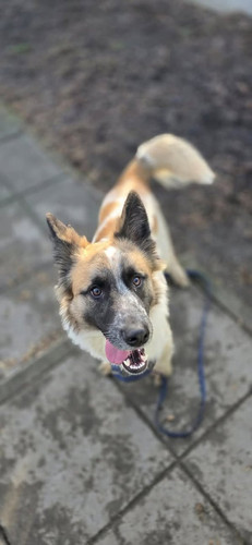 GnTHeVuWcAEeZ i?format=jpg.jpg