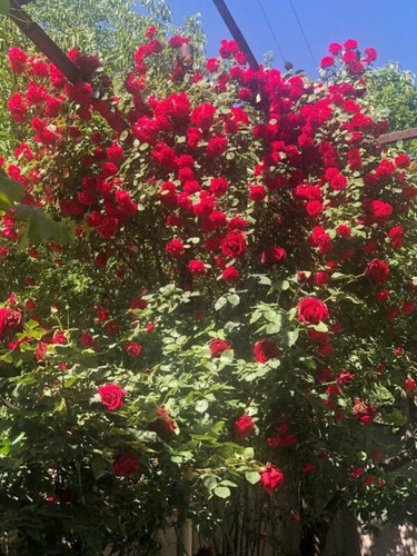 i1uaZsUnlzCcxKGd1LtIVFT3JataXbWtQfnp8 qqEkQzcisY3 bjyOn LkQtwY6wp1HGPoCaTU6hfon6u nWb415sL5p3djHgVlt.jpg