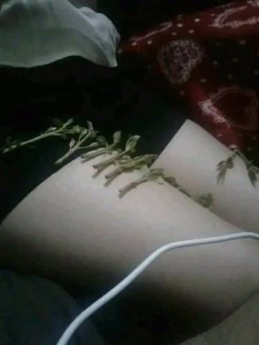 تسريبات البومات نودز مصري من البنات وهما بيفتحوا روب الحمام ويوروا كل حاجة  F9Fsqo7
