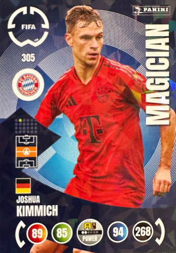 305.jpg
