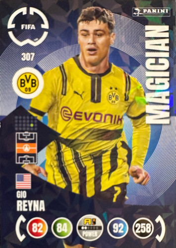 307.jpg