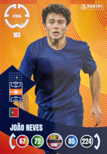 103.jpg