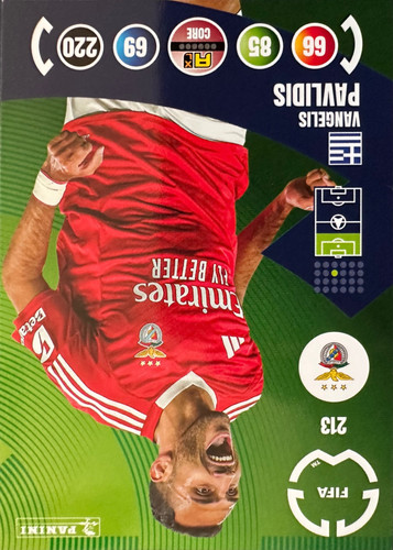 213.jpg