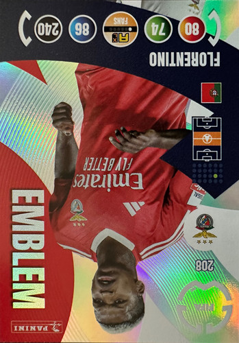 208.jpg