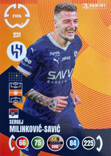 231.jpg