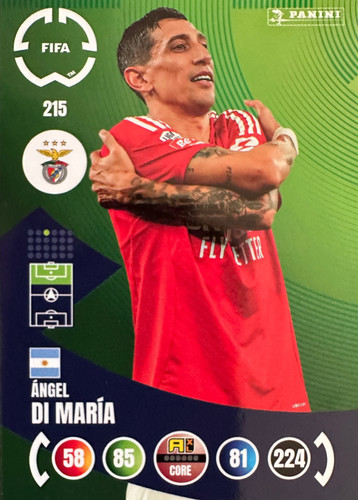 215.jpg