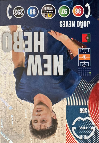 355.jpg