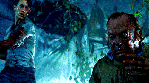 tumblr 4ac88ec3ba378a2a163042fafd01e1c9 3f669552 540.gif