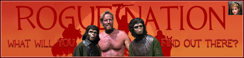 Heston Banner.jpg