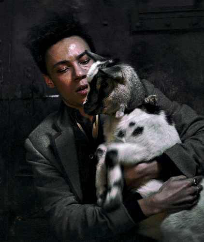 tumblr 16e5d270c7fccba3c025afed119e0b53 973db458 540.gif