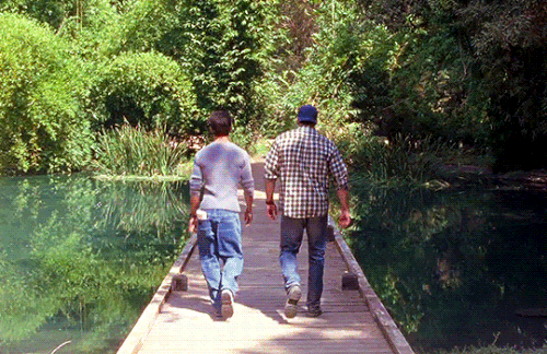 tumblr 44f8aeb3f89422e4193fab4a07acce43 38a6e01b 540.gif