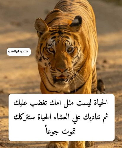 FB IMG 1748681871827.jpg