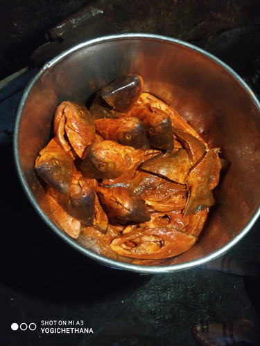 IMG 20210816 193156.jpg