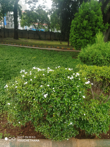 IMG 20210823 154448.jpg