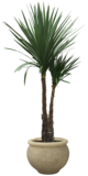 ezgif 78341dae14b1c3.png