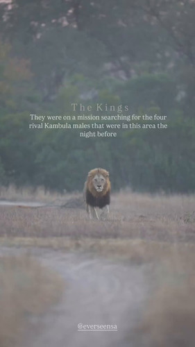 DOIRjmdO95rDlk U.jpg