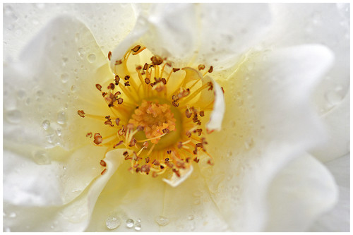 Maandopdracht Mei.jpg