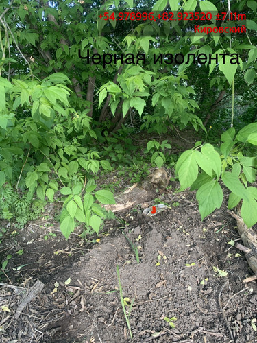 облболь (2).jpg