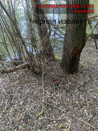 облболь (3).jpg