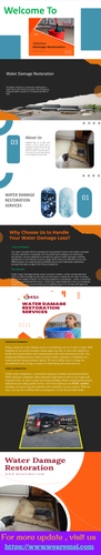 Why Choose MSI for Professional Water Damage Restoration Services.png