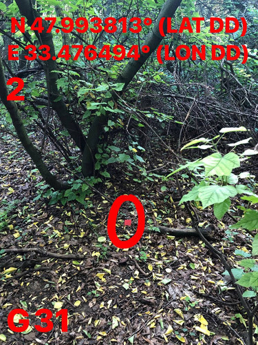 5319262398927992177.jpg