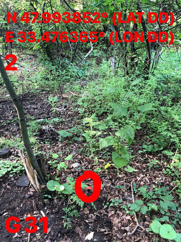 5319262398927992183.jpg
