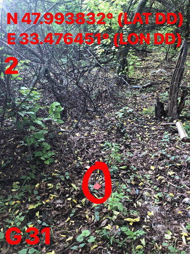 5319262398927992180.jpg
