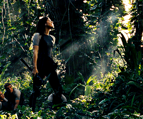 tumblr 73ed6a6301e5f46c792eacfd3ea1b53a 322ca7f4 540.gif