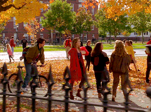 tumblr b5d617b46e5bffa3c451a4a9064f60d9 5e5fc987 540.gif