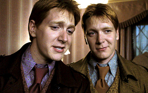 tumblr 24f142d032c9f4d882ded693fcf17386 4788d5ad 540.gif