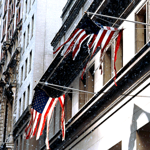 tumblr f8ab9c024bdd06bcdf059c84c832927d 73c42264 540.gif