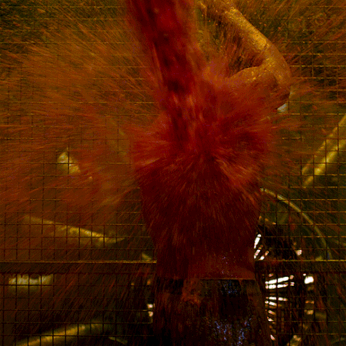 tumblr df1b57e413b8ae919c312eaa1667ec5d 970cde23 540.gif