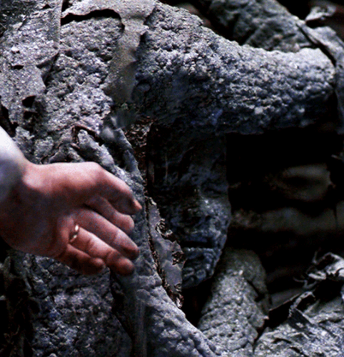 tumblr f7be3dcd95cba6491f41d85f5abd5f29 52396a98 540.gif