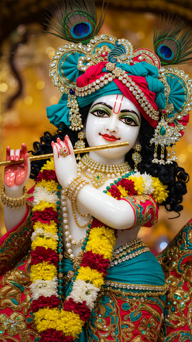 Lumii 20250601 124217373.jpg