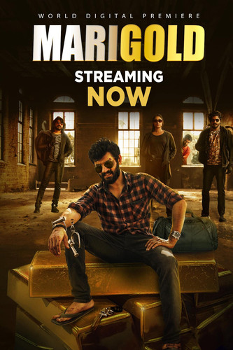 Marigold 2024 Hindi Dubbed Full Movie HD (filmycab.vip).jpg