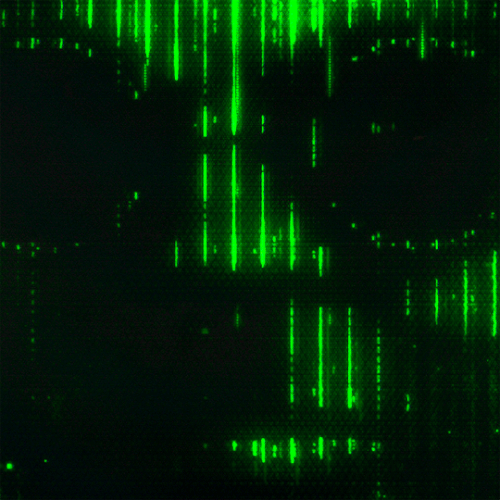 tumblr 7e1c31b3edb8e8b6aa56903242fbcf9e bbc58559 540.gif