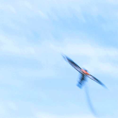 tumblr ad3e6327a3ba7158c5b7575c78a1ad20 f08f15a7 540.gif