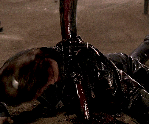 tumblr 9523487ab6fab6b0ef35d956cd156c85 53fb64f6 540.gif
