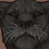 IMG 4401.png