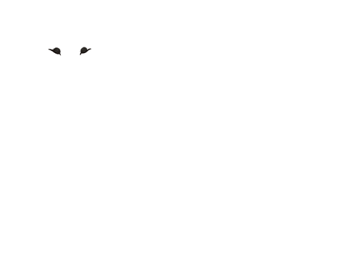IMG 4402.png