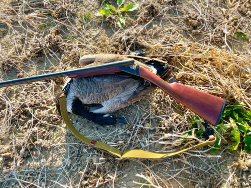 Colorado Guided Goose Hunt - Birds and Bucks Outdoors.jpg