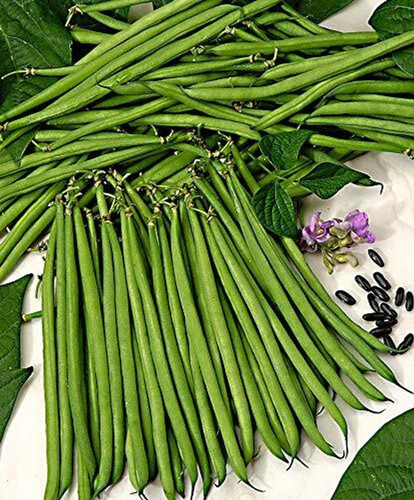 48 vegetable french beans for ho.jpg