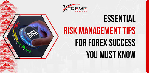 Essential Risk Management Tips for Forex Success You Must Know.jpg
