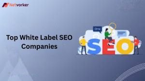 Top White Label SEO Companies.jpg