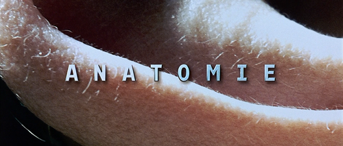 Anatomy.2000.1080p.BluRay.x264 GECKOS.mkv 000055105.png