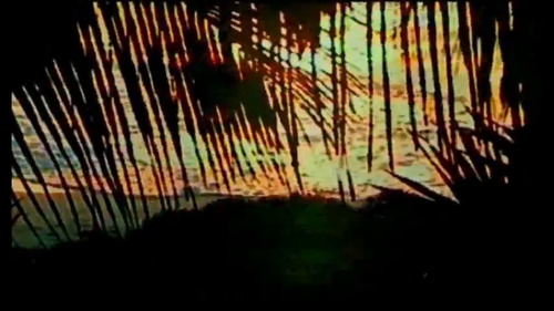 vlcsnap 2025 06 26 16h47m34s295.png